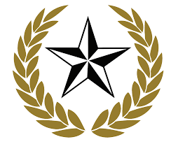 Lone Star Valet Logo